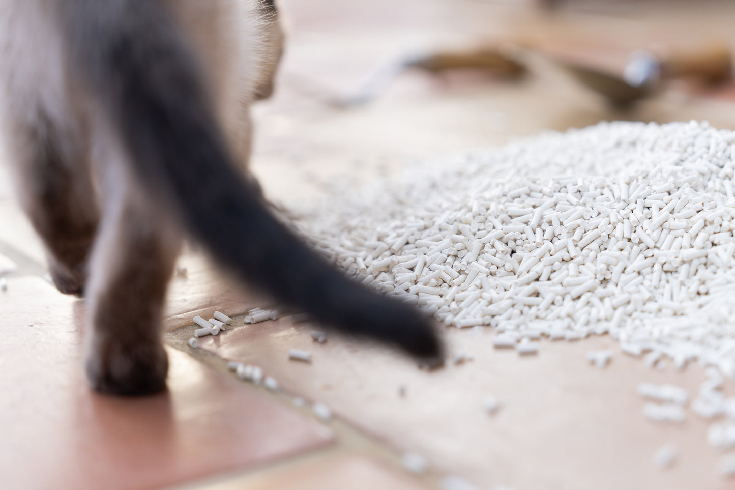 Tofu Cat Litter Original 6 Packs 3mm (48L/16.8KG)