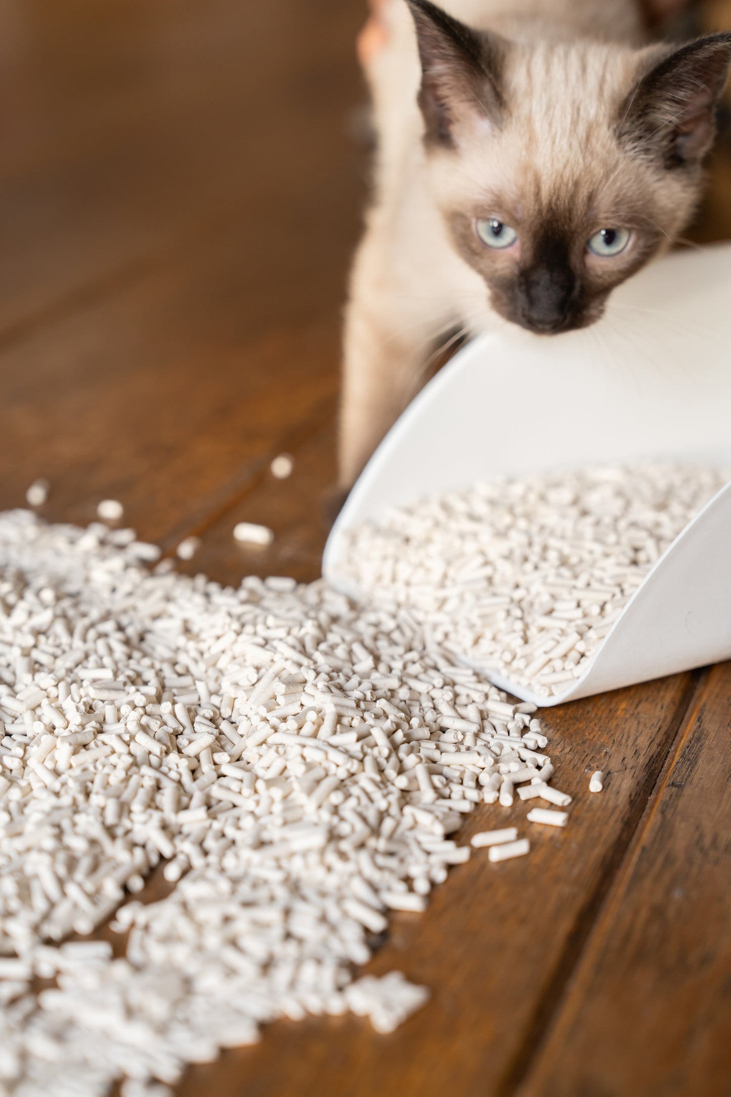 Tofu Cat Litter Original 6 Packs 3mm (48L/16.8KG)